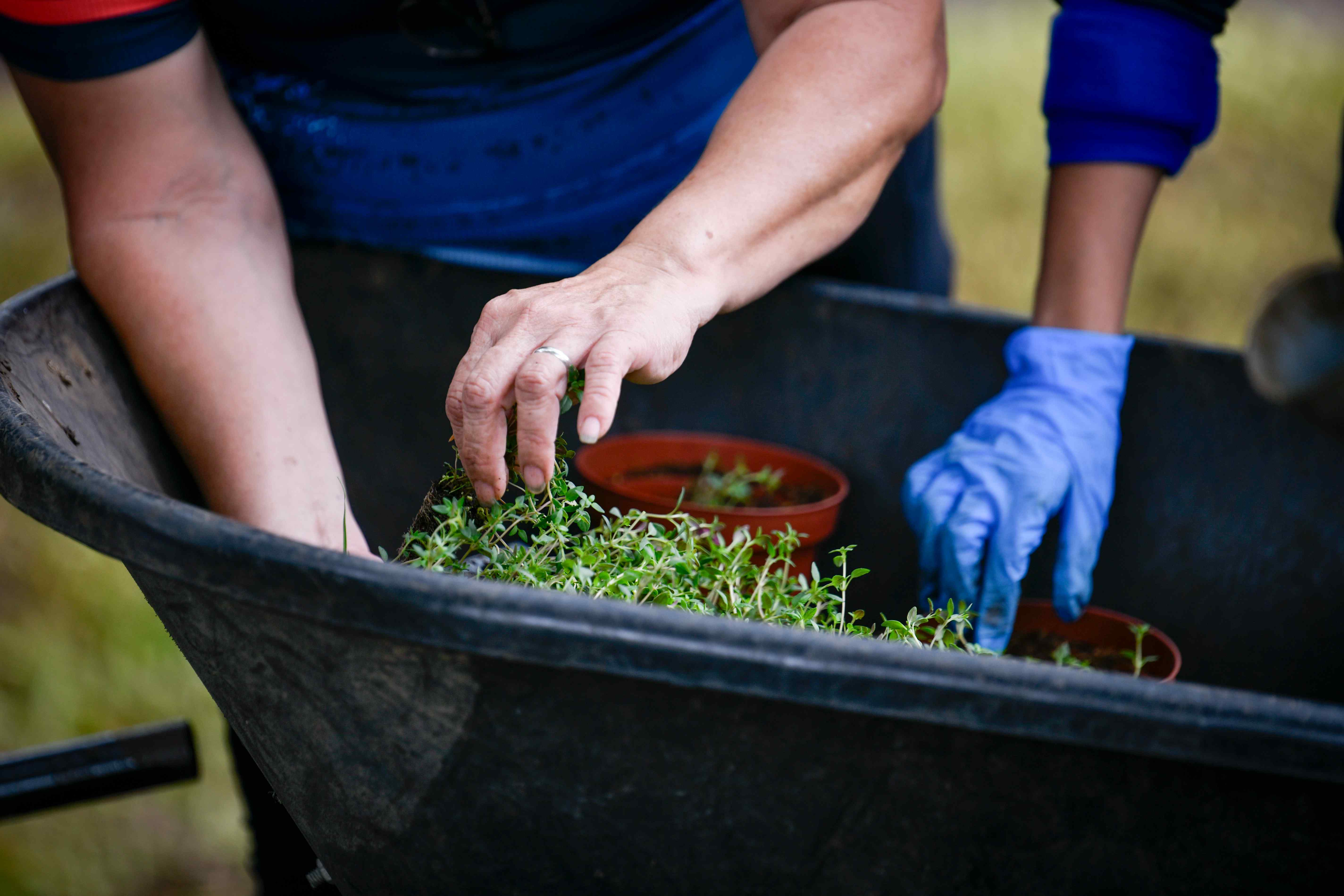 Waste optimization