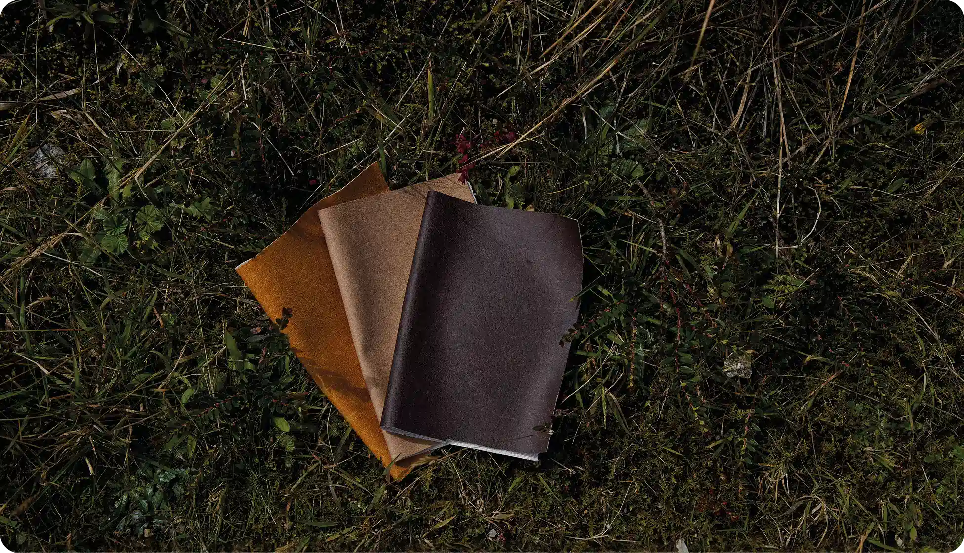 An evolving portfolio